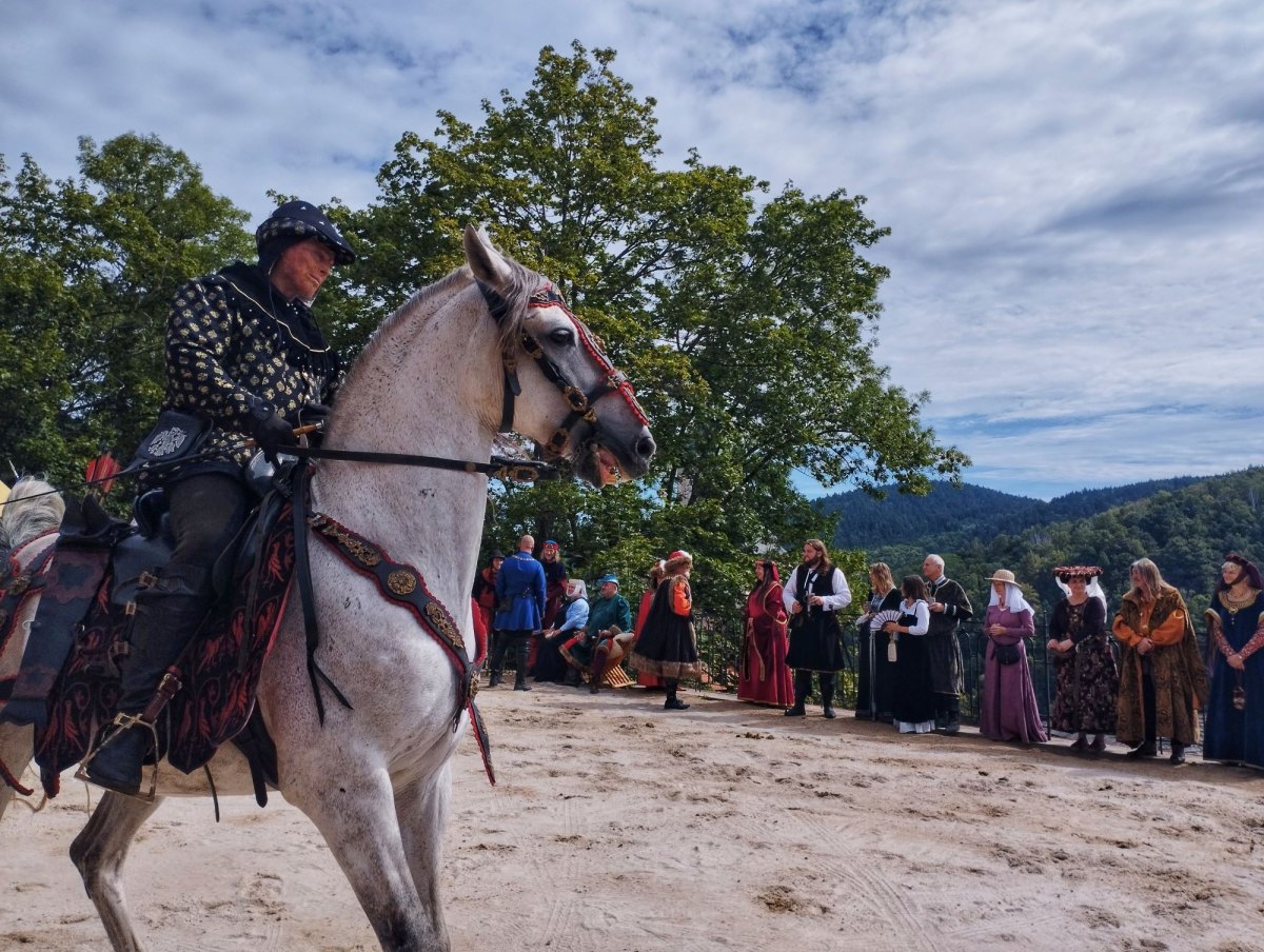 Středověké slavnosti purkrabího Půty