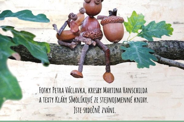 Výstava Dubánek a noční bouře