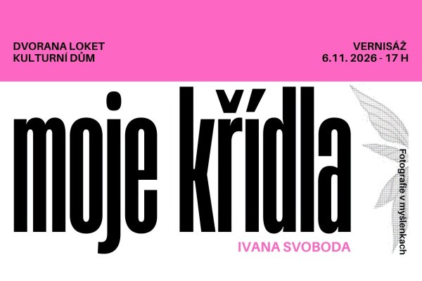 Vernisáž výstavy "Moje křídla" - Ivana Svoboda