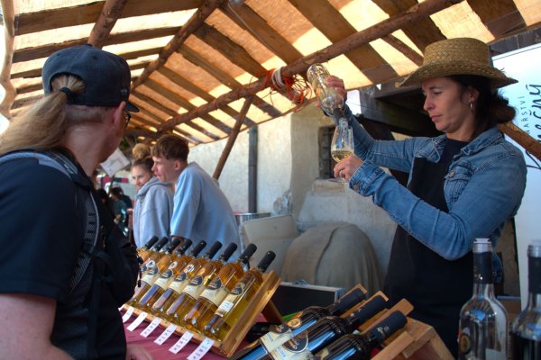 Svatováclavské vinobraní