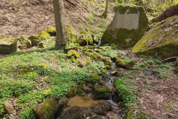 DIE KASKADE  AM STEINIGEN BACH