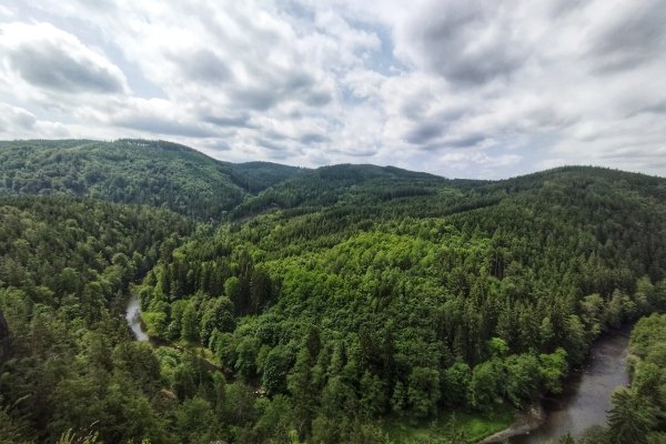 Jeskynní a soví lookout