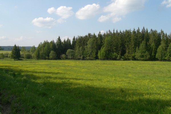 Hlavsa's bench